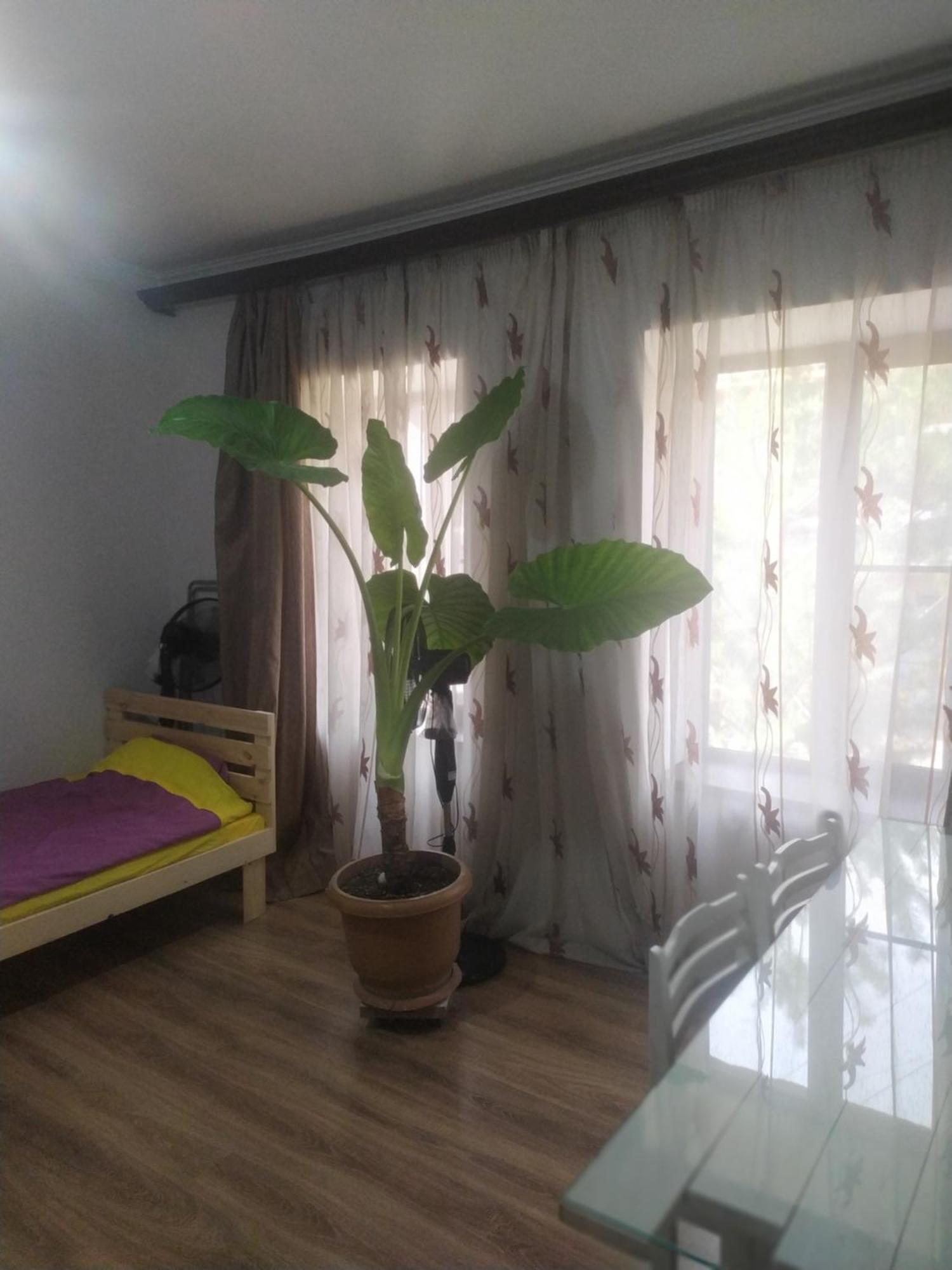 Guest house,гостевой дом,հյուրատուն Єреван Екстер'єр фото